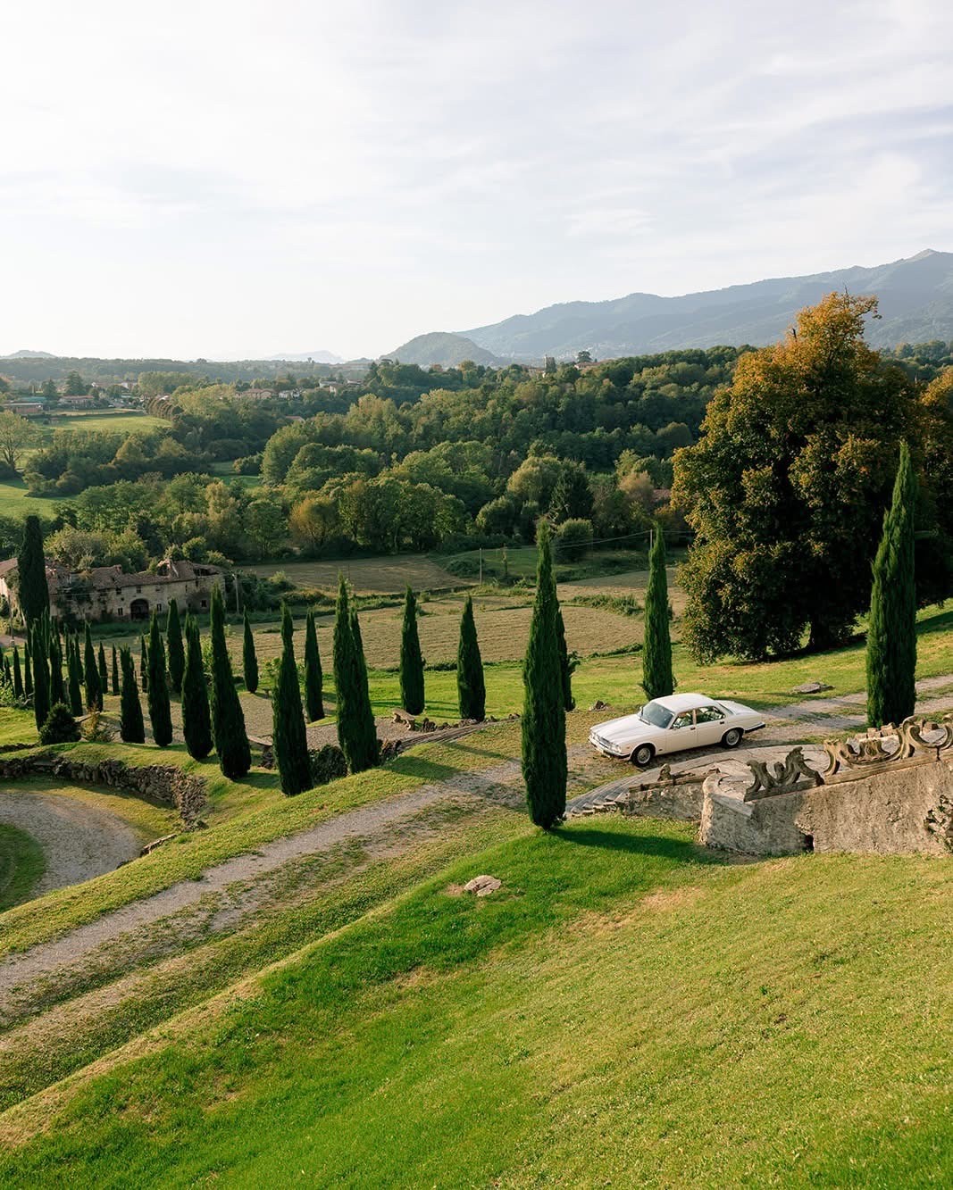 3 flowers placed in a vintage glass jar with a soft green background.