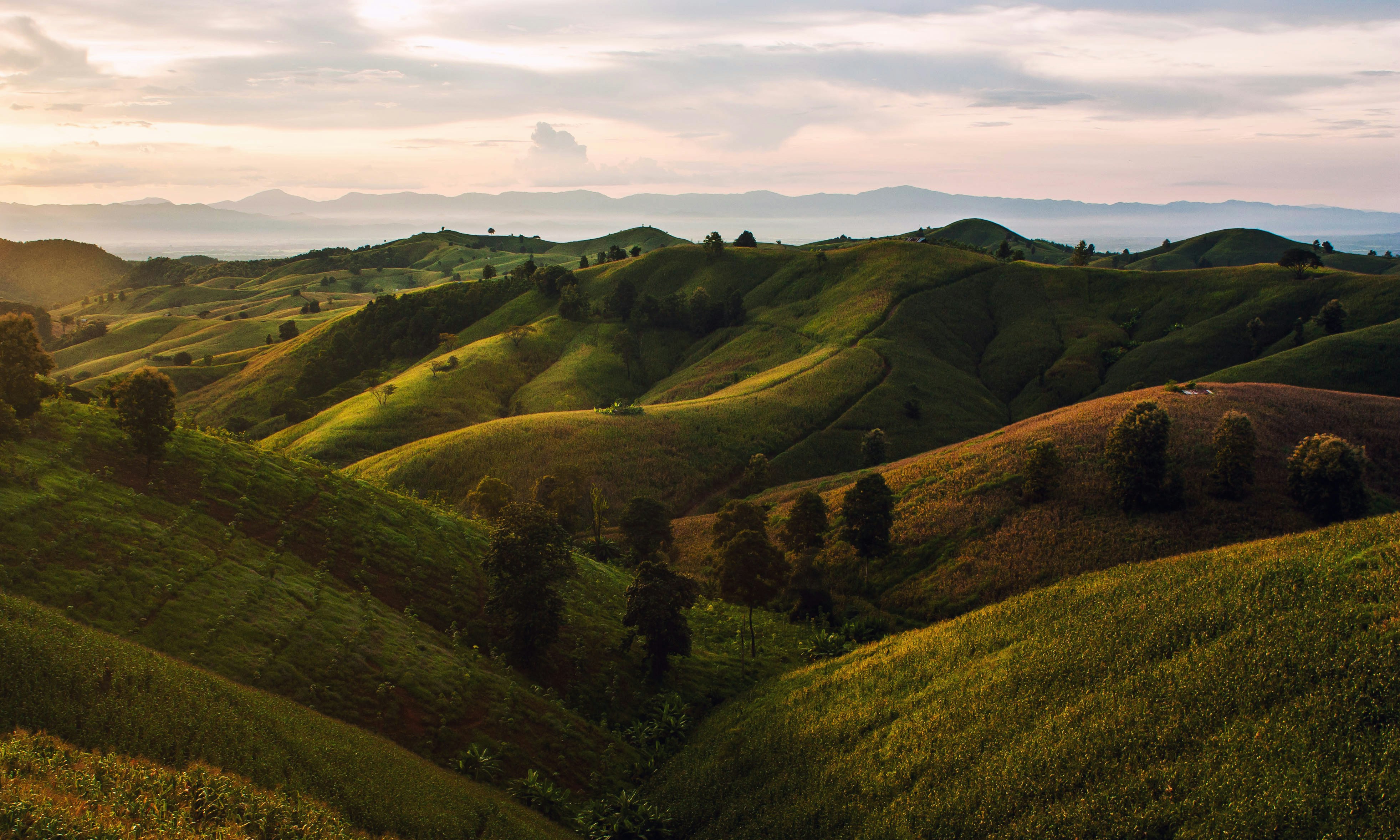 Wide landscape shot at sunset of rolling green hills.